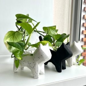 Alternative view of Suculenta + Maceta Pet Mini Gatito