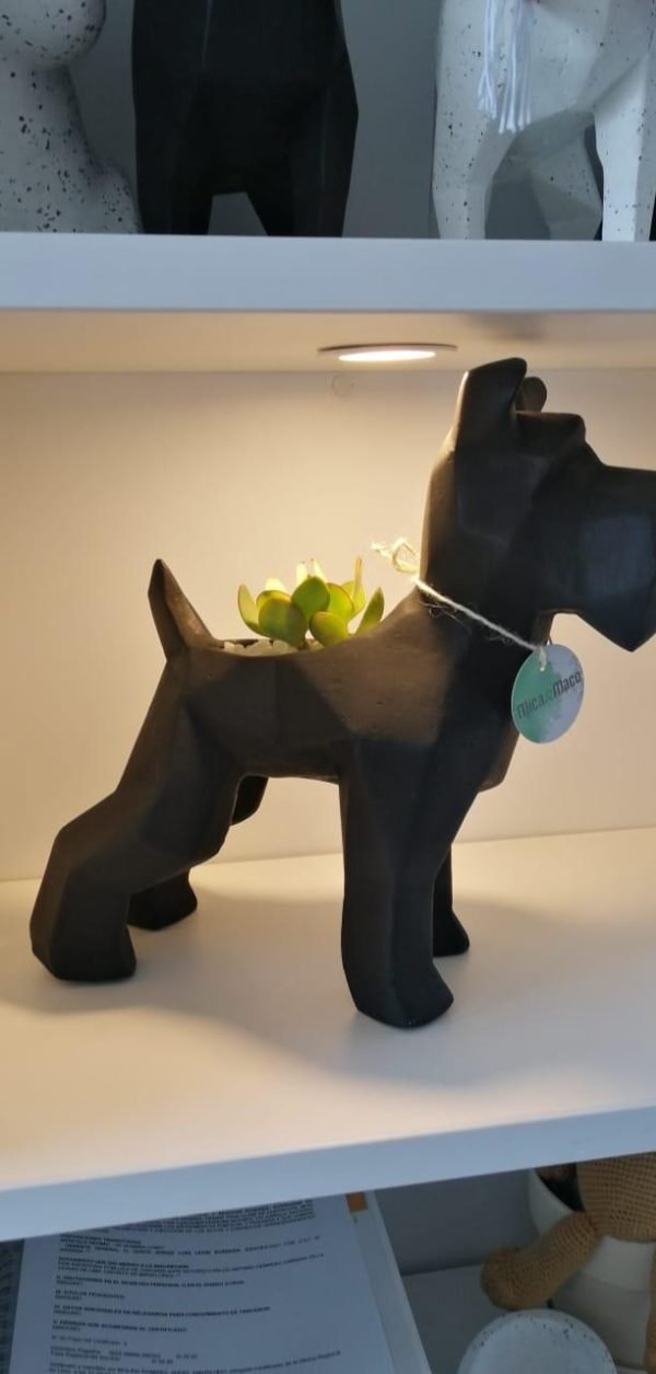 Suculenta + Maceta Pet Friendly Schnauzer | 33cm - Imagen 5