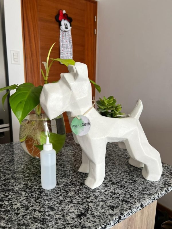 Suculenta + Maceta Pet Friendly Schnauzer | 33cm