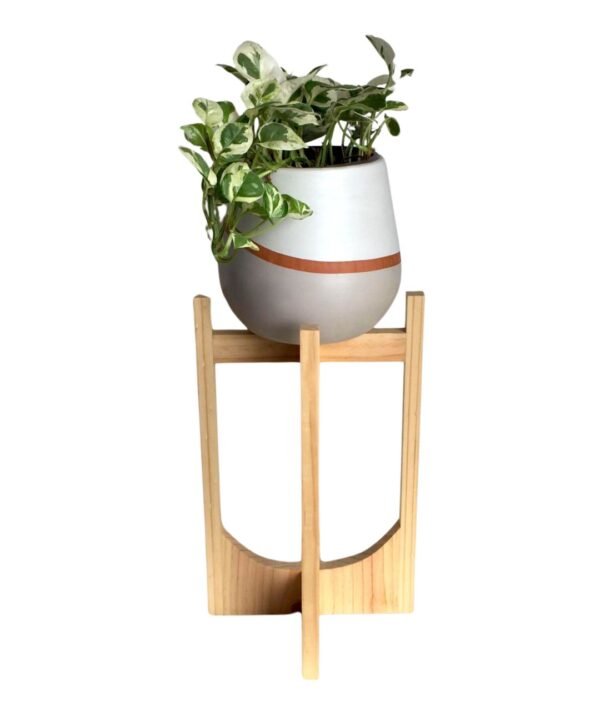 Juego Gorges (Planta Pothus + maceta arcilla pera + parante) | 65cm