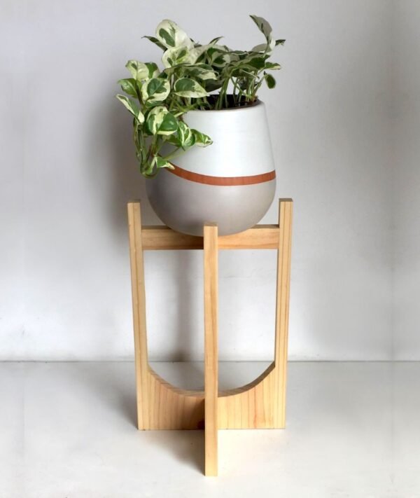 Juego Gorges (Planta Pothus + maceta arcilla pera + parante) | 65cm - Imagen 2