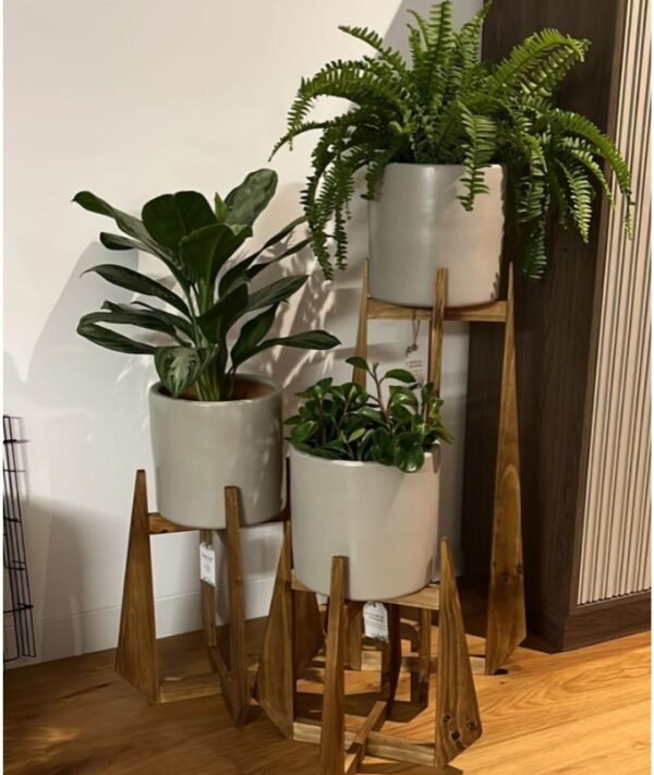 Juego Toulose (Planta Aglaonema, helecho crespo y peperonias + maceta arcilla + parante) | 1.40 mts.
