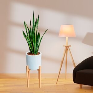 Alternative view of Lengua de Suegra / Sansevieria en maceta cilíndrica | 1.2mts