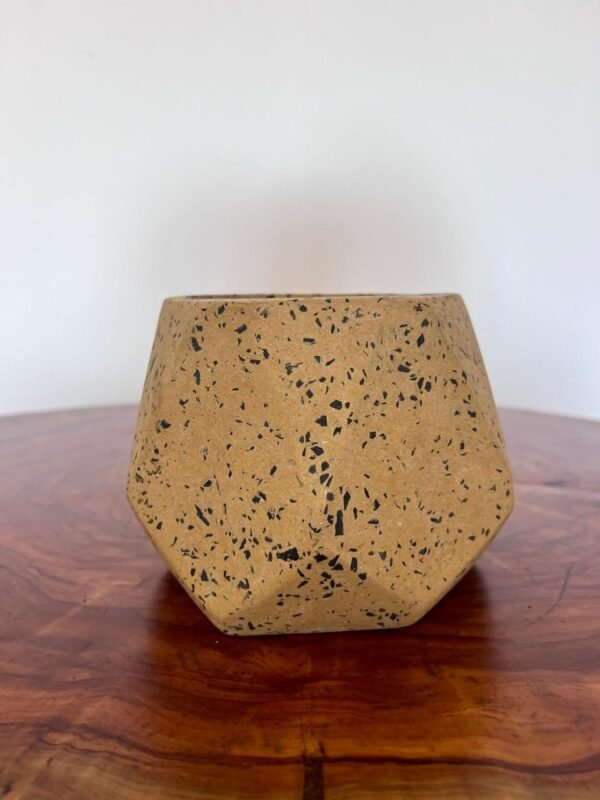 Maceta base geométrica de terrazo amarilla + planta | 22 cm