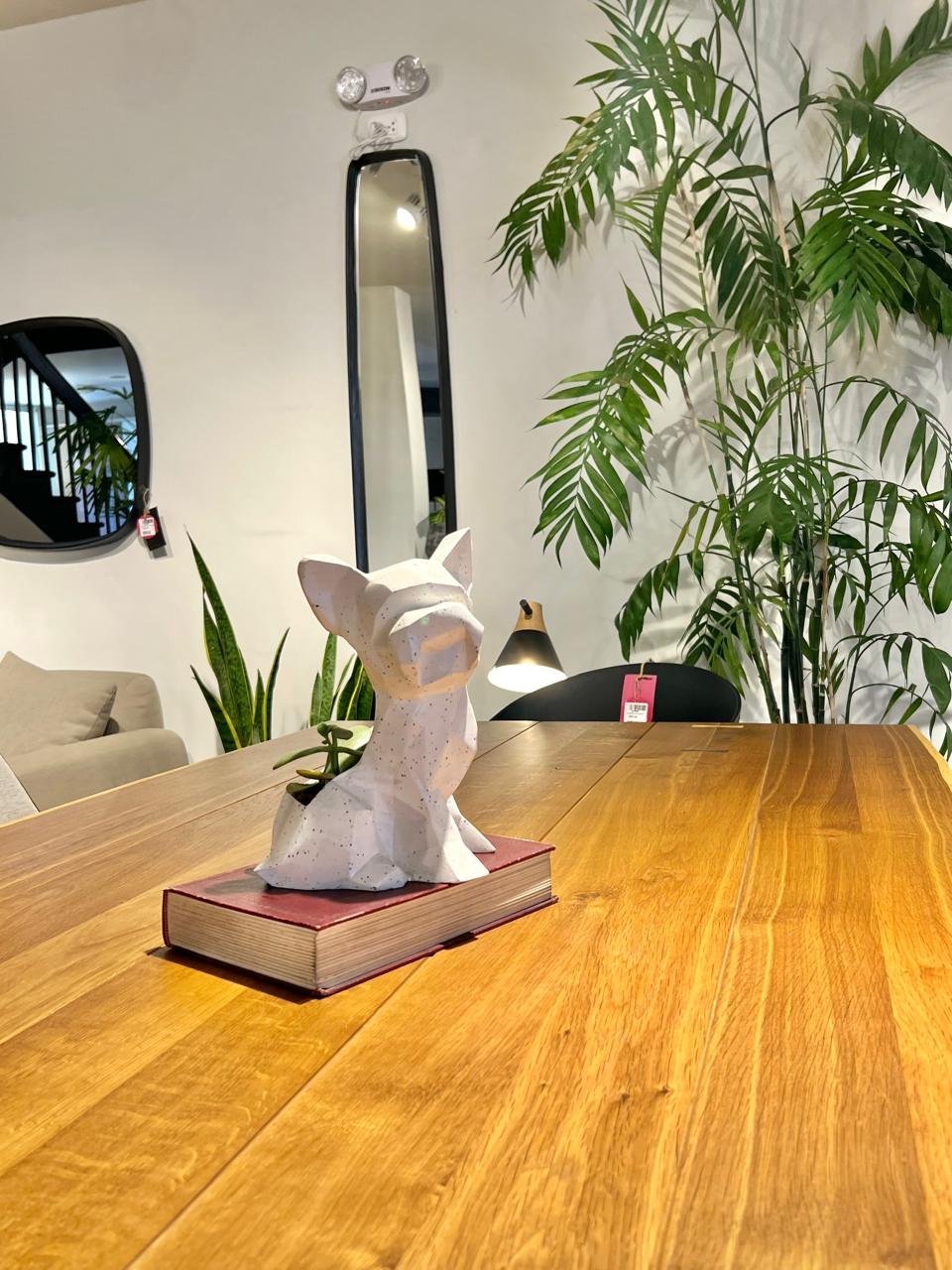 Maceta Pet Friendly Yorkie + Suculenta - Imagen 4