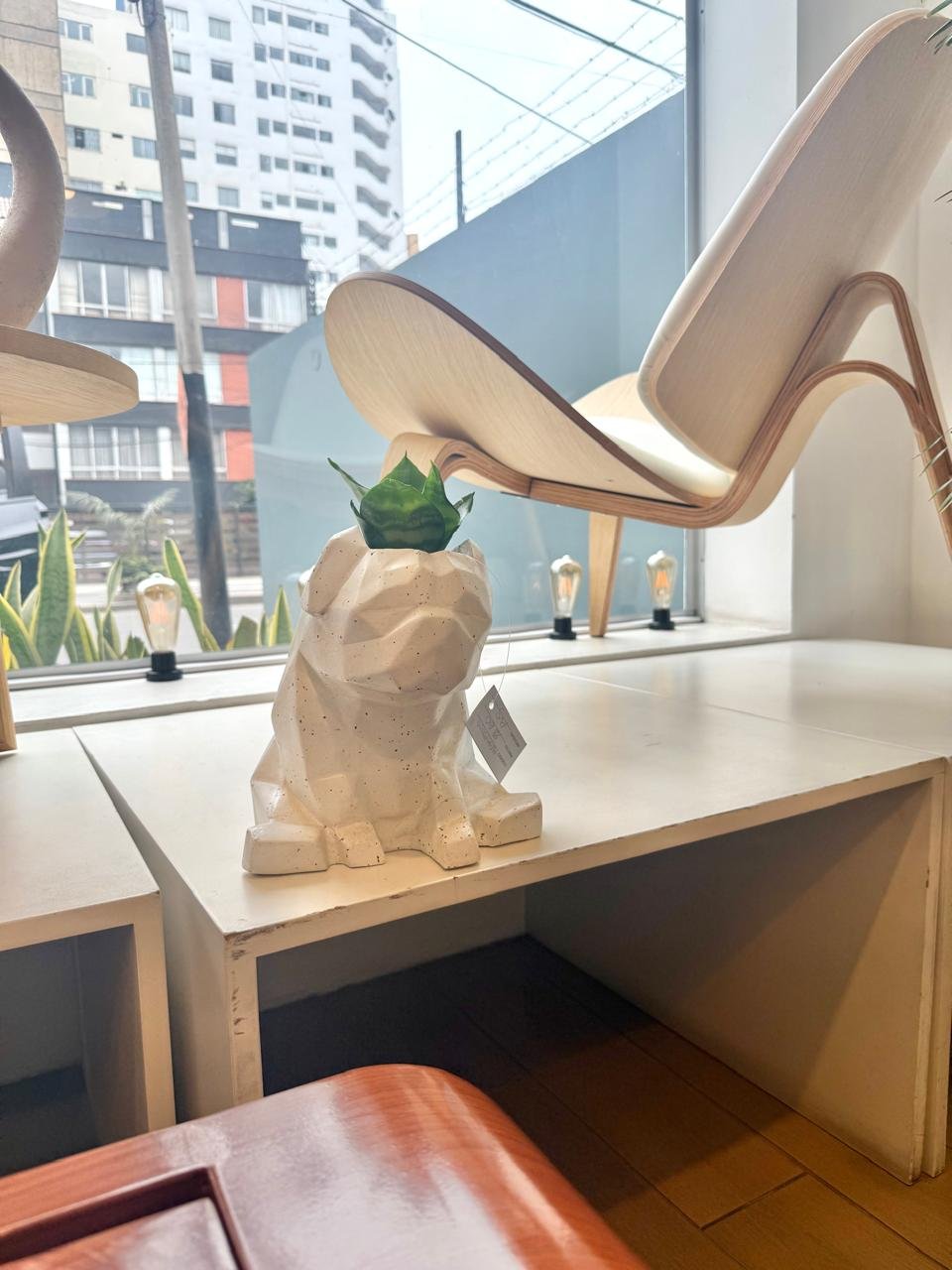 Maceta Pet Friendly Pug + Suculenta 25cm - Imagen 5