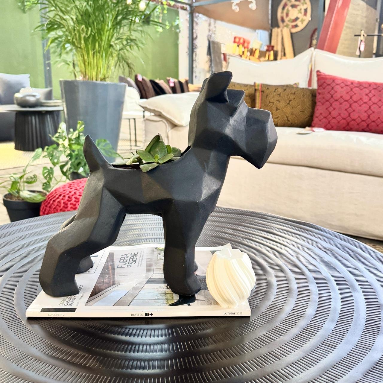 Suculenta + Maceta Pet Friendly Schnauzer | 33cm - Imagen 9