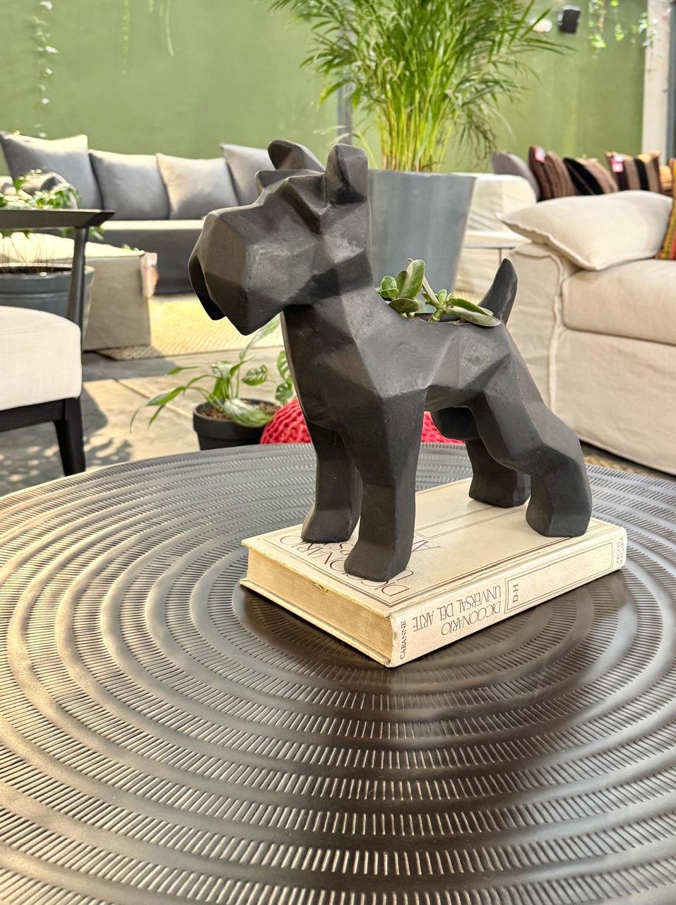 Suculenta + Maceta Pet Friendly Schnauzer | 33cm - Imagen 10