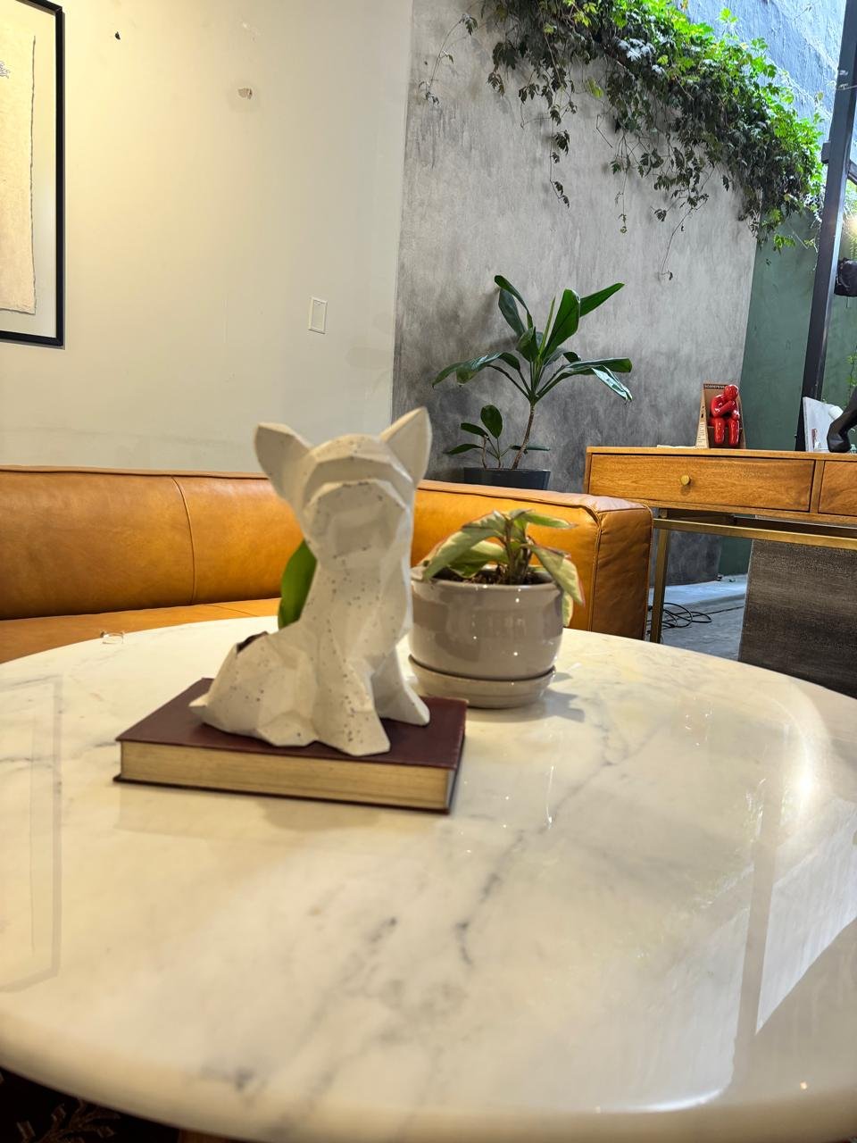 Maceta Pet Friendly Yorkie + Suculenta - Imagen 3