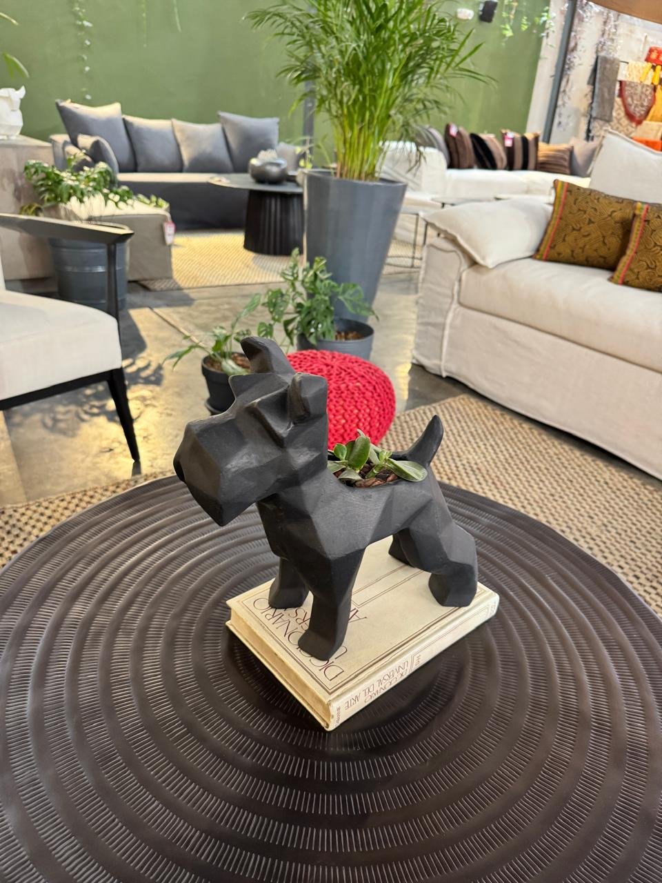 Suculenta + Maceta Pet Friendly Schnauzer | 33cm - Imagen 7