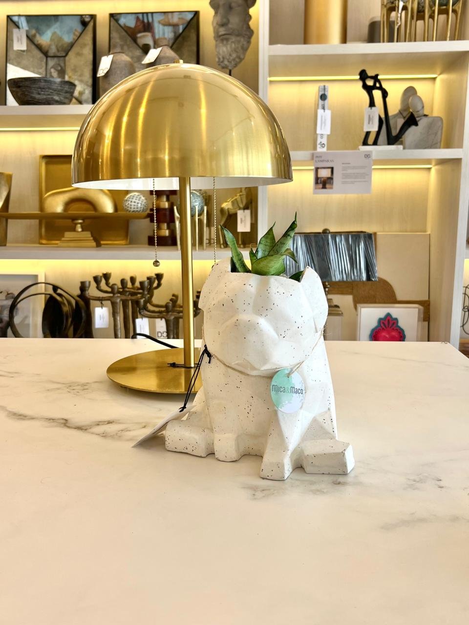 Maceta Pet Friendly Pug + Suculenta 25cm - Imagen 6