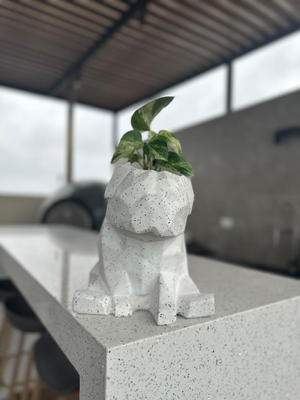 Maceta Pet Friendly Pug + Suculenta 25cm - Imagen 8