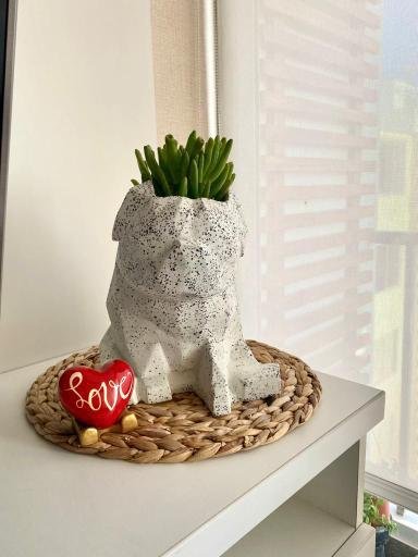 Maceta Pet Friendly Pug + Suculenta 25cm - Imagen 7