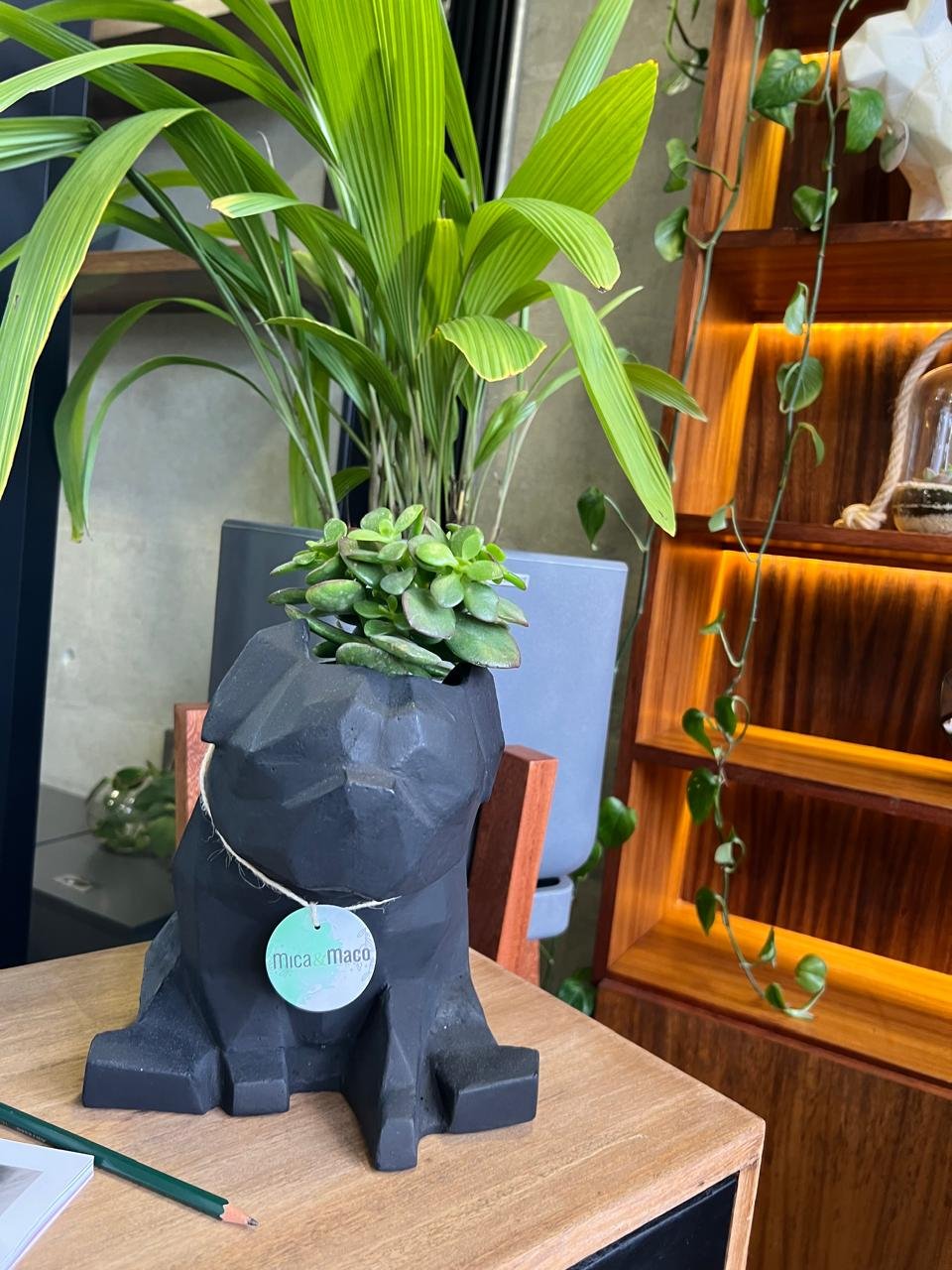 Maceta Pet Friendly Pug + Suculenta 25cm - Imagen 10