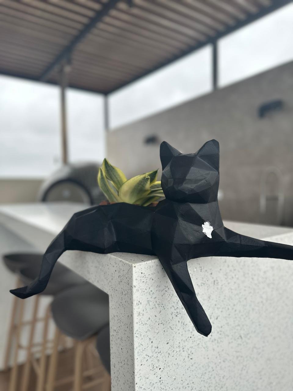 Maceta Pet Friendly Minino + Suculenta | 21cm - Imagen 10