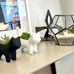 Maceta Pet Mini Gatito +Suculenta
