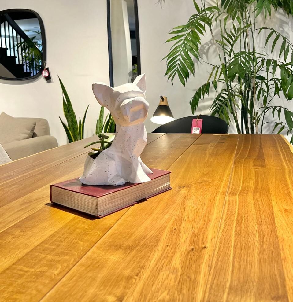 Maceta Pet Friendly Yorkie + Suculenta