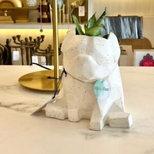 Maceta Pet Friendly Pug + Suculenta 25cm